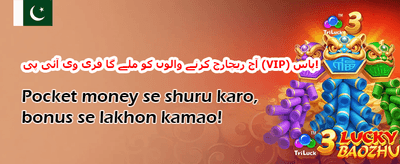 سلٹس کے لیے مفت اسپن promotion